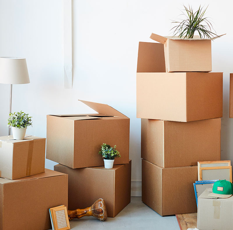 Scatoloni di cartone di diverse dimensioni impilati in una stanza, con piante, lampade e cornici in vista, che rappresentano la fase di imballaggio per un trasloco